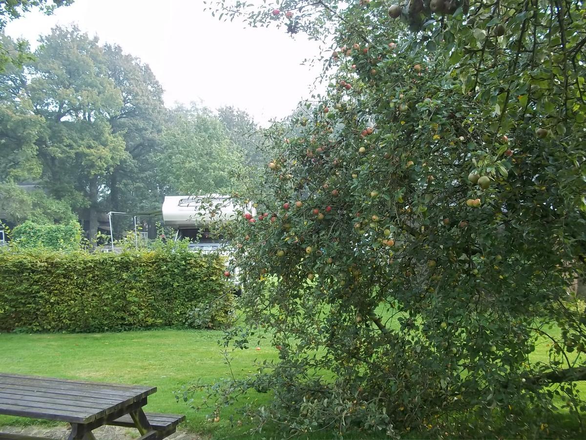 B&B Slaoperij Orvelte Kültér fotó